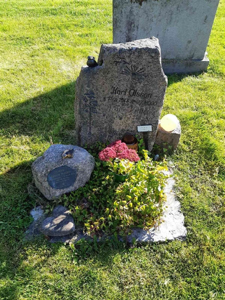 Hautatunnus: Fr 8   217