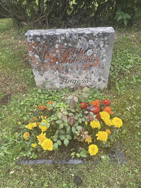 Grave number: 002 2   503