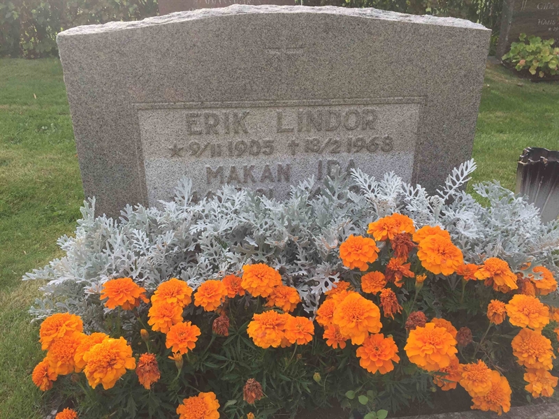 Grave number: ÖD 06  202, 203