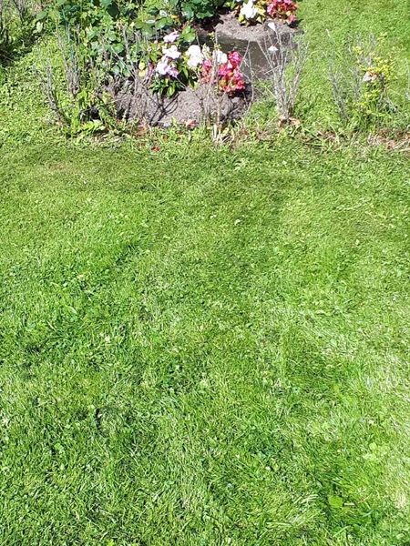 Hautatunnus: NK F G    88