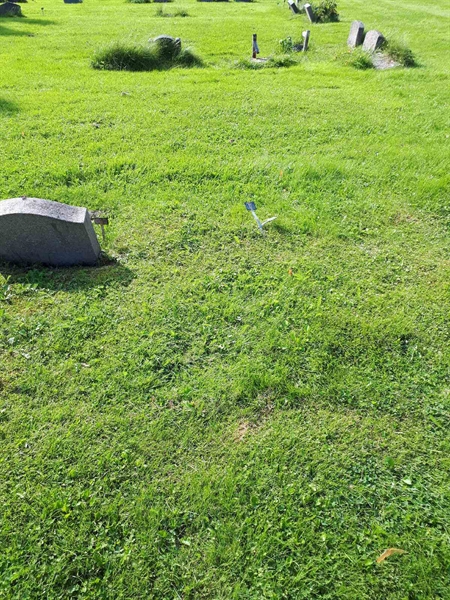 Grave number: NK A A   313