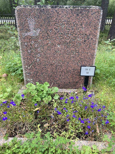 Hautatunnus: SK E    58