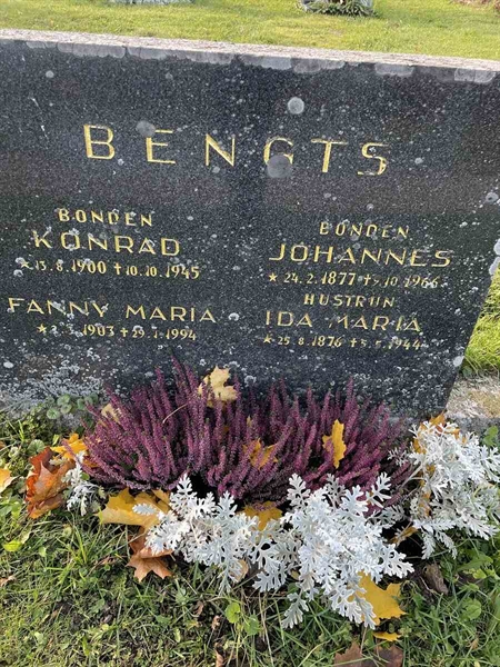 Grave number: N 3 8   495-496