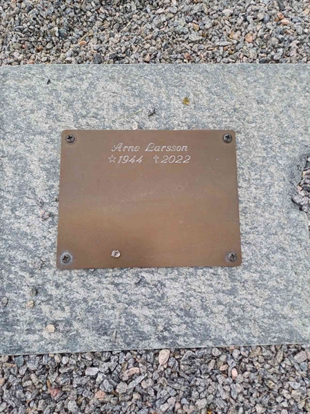 Gravnummer: SA MAGP3   42