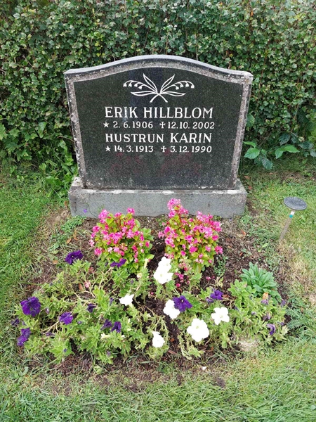 Hautatunnus: 1 D   119