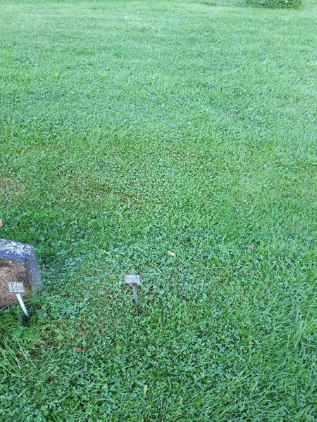 Gravnummer: NK A A   360