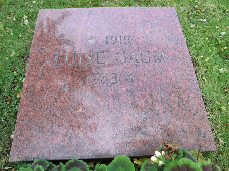 Grave number: ÖT URN    428