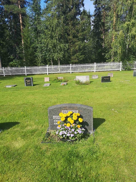 Gravnummer: POK 03    48