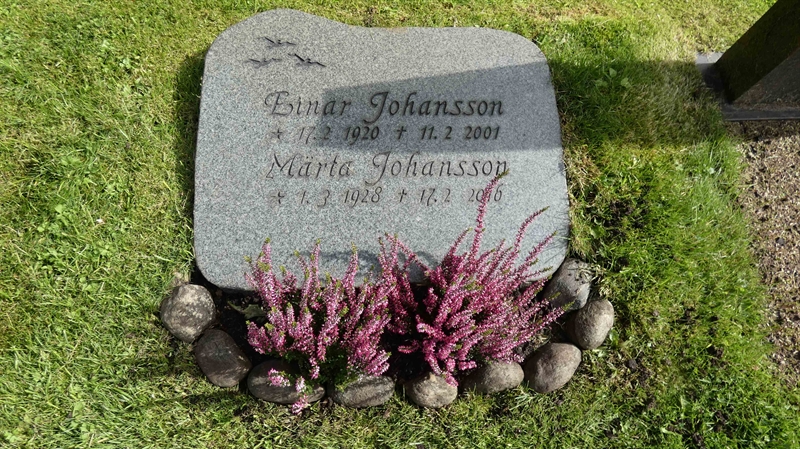 Grave number: SN D   225c
