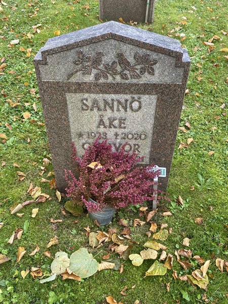 Hautatunnus: 1 H   231