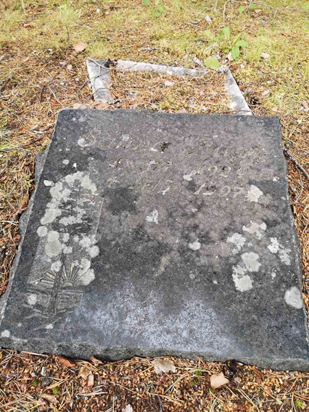 Gravnummer: SK C    11