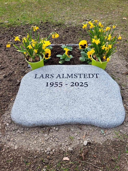 Grave number: H HA   217