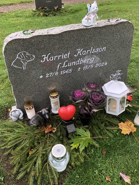 Hautatunnus: 1 04   166-167