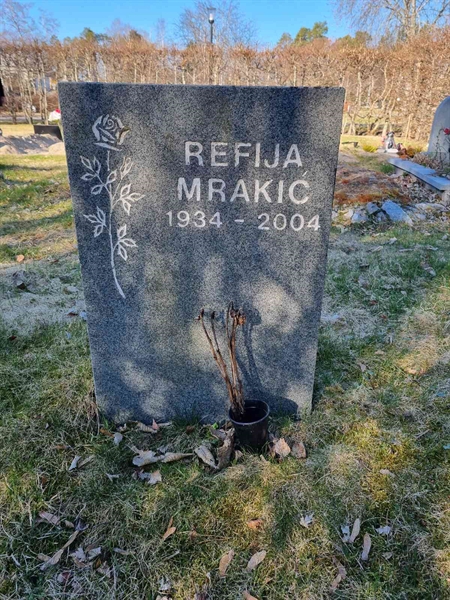 Grave number: 1 35    3