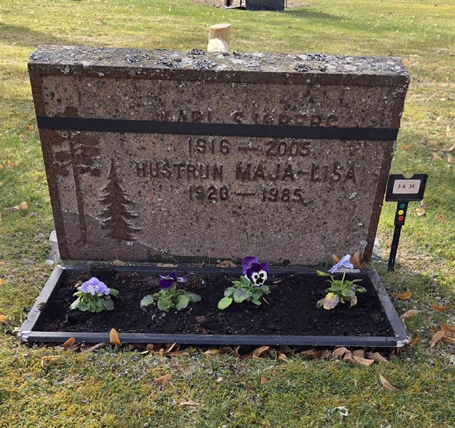 Grave number: 3 6    25