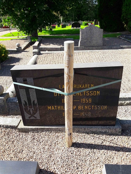 Grave number: TÖ 5   299