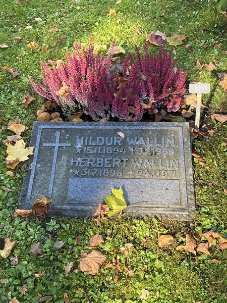 Hautatunnus: 1 H   404