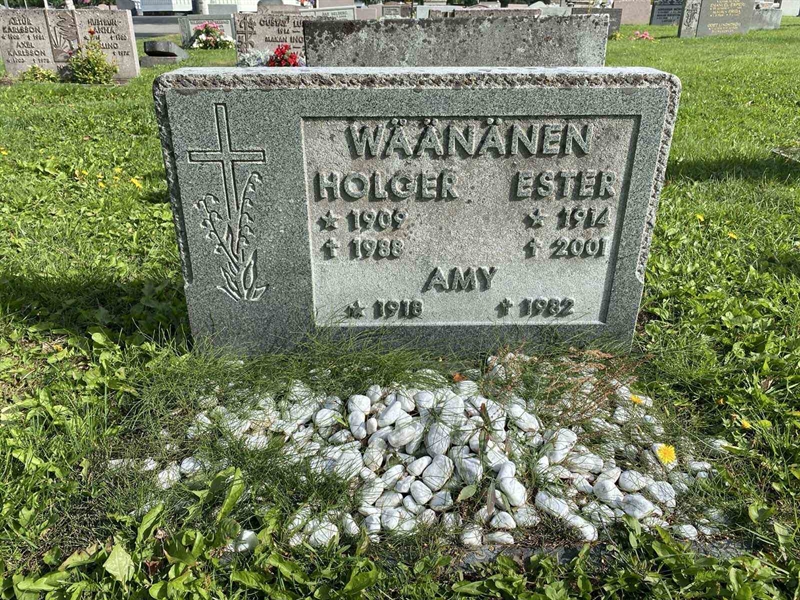 Grave number: 2 08 334
