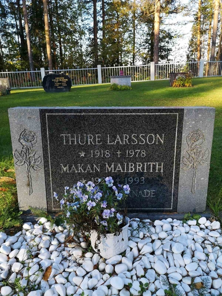 Hautatunnus: VLM 11    46:1-2