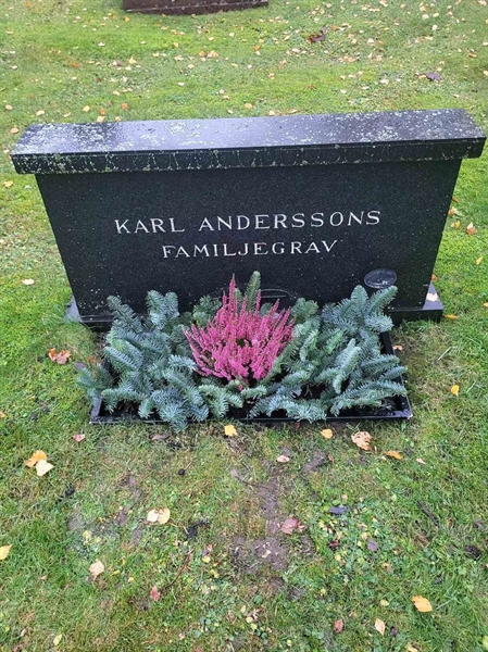 Hautatunnus: 4 1C    51