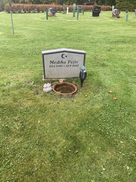 Hautatunnus: 1 3 M/Be   110