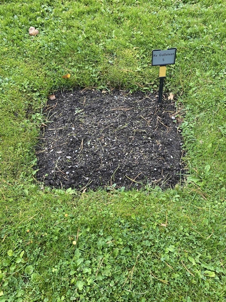 Gravnummer: 2 G     5