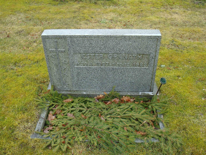Grave number: BR D   445