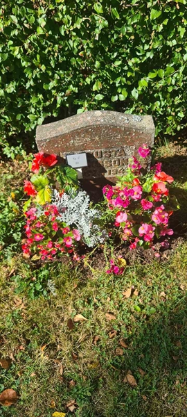 Grave number: M C   80