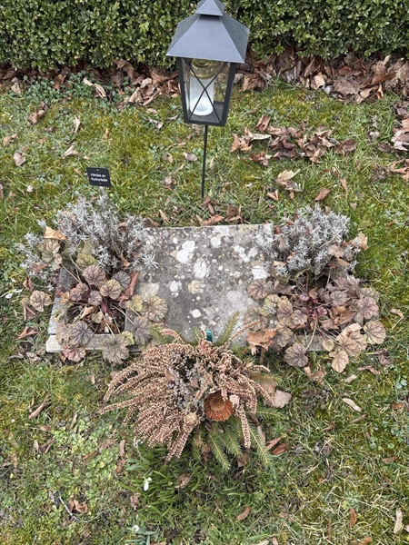 Grave number: G A 67