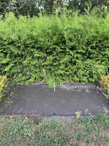 Grave number: NK XIV    72