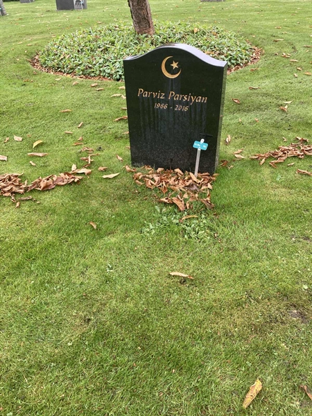 Hautatunnus: 1 3 M/Be    56