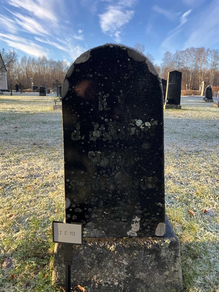 Gravnummer: 2 C   113