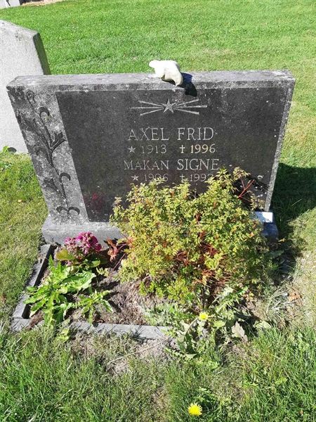 Grave number: Fr 1 203-204