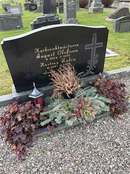 Hautatunnus: Vårv Kv1 65-67