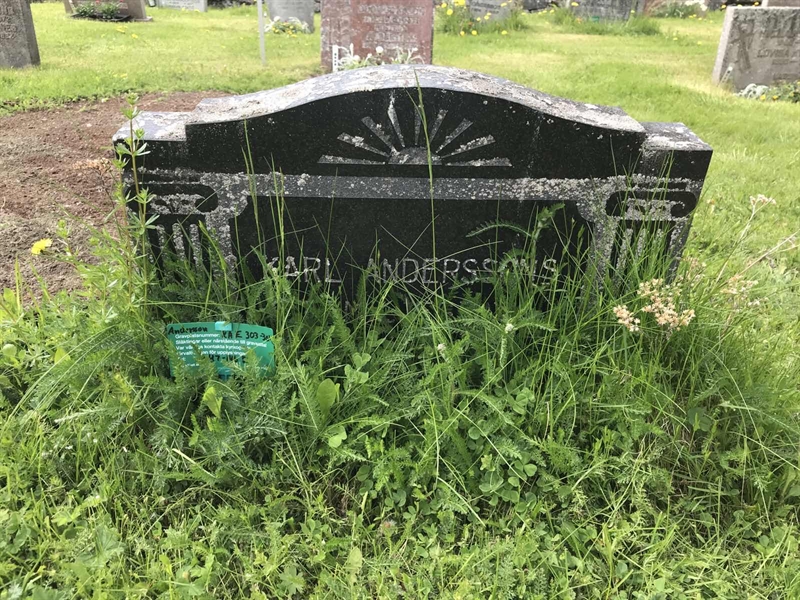Grave number: KA E   303, 304