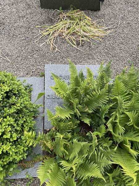 Grave number: VN J     2