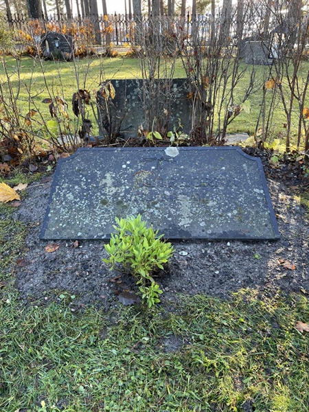 Hautatunnus: 1 E    81