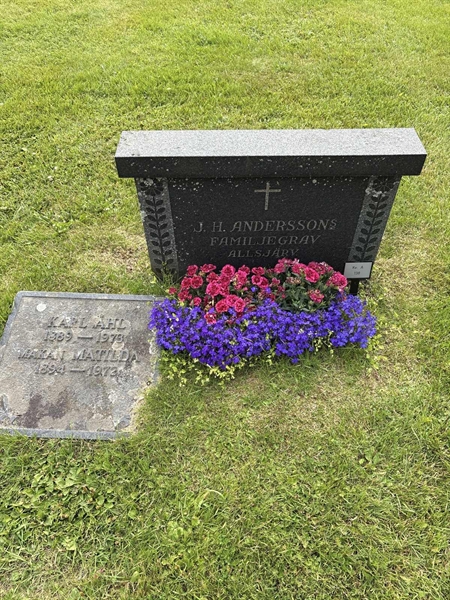 Grave number: 003 A   138
