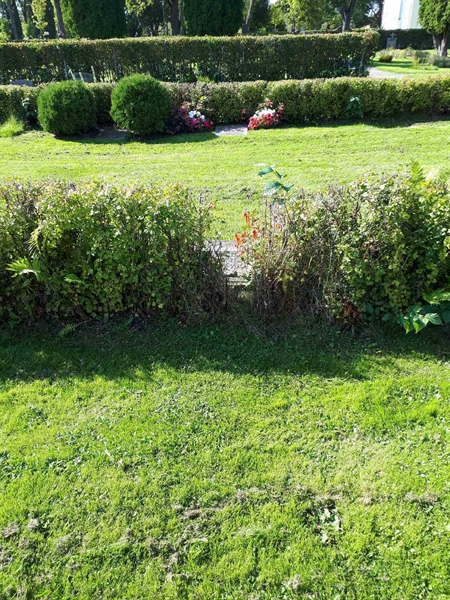 Grave number: NK F G   246