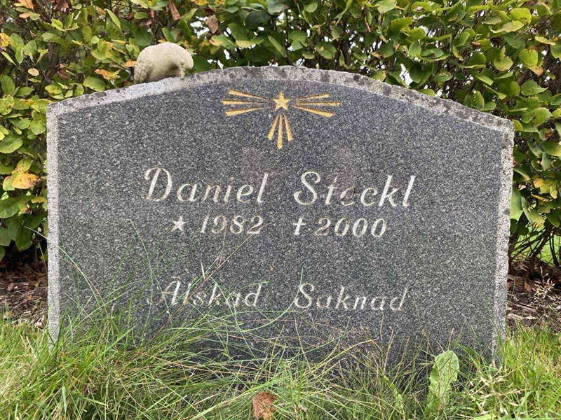 Grave number: 1 19    229