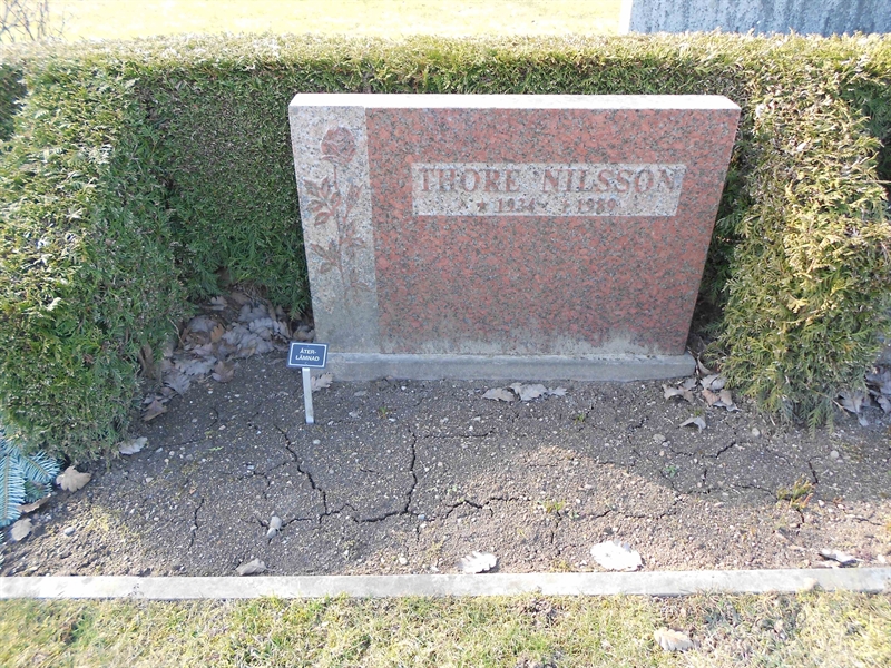 Grave number: V 40   239