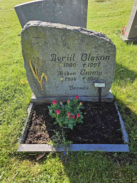 Grave number: Fr 7   702