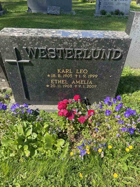 Hautatunnus: N 5 2   210