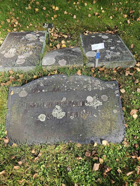 Grave number: Fr 7   993-994