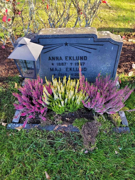 Grave number: Ö IV D  180