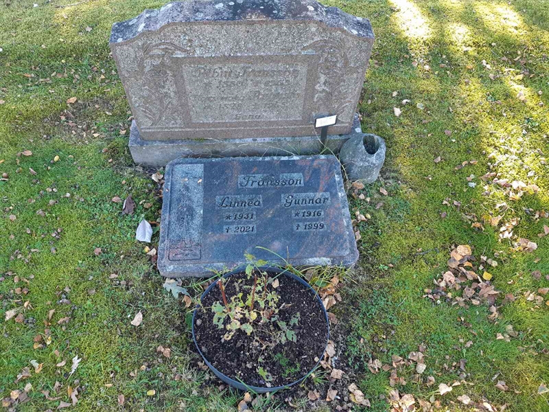 Hautatunnus: Fr 7   421-422