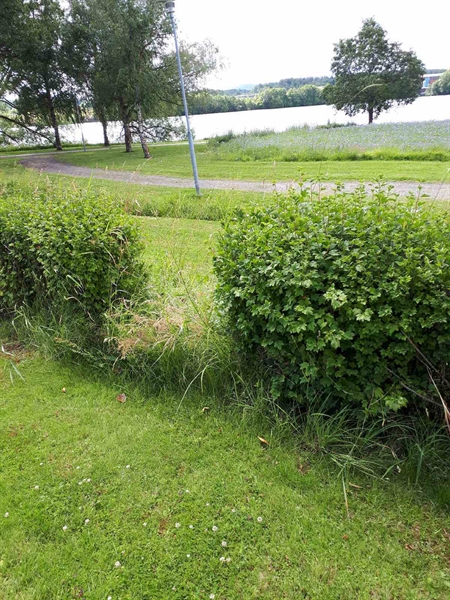 Hautatunnus: GK F 5   541B