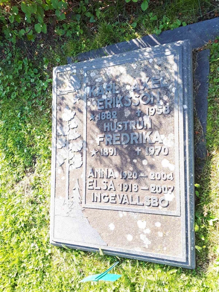 Hautatunnus: NK F G   299