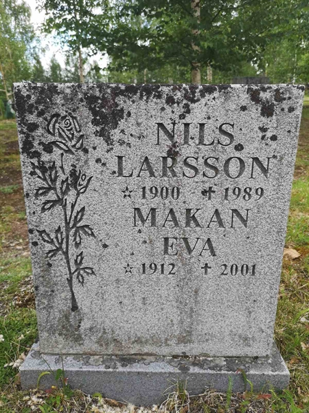 Gravnummer: SK N    30