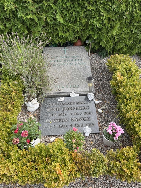 Gravnummer: NK Urn p    34